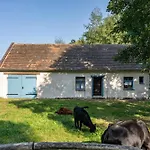 Im Landschloss Lejlighed