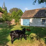 Im Landschloss * Calau