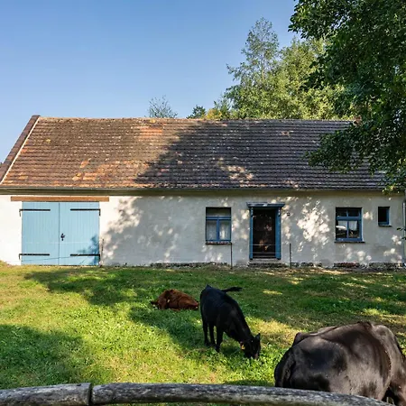 Apartment Im Landschloss Calau