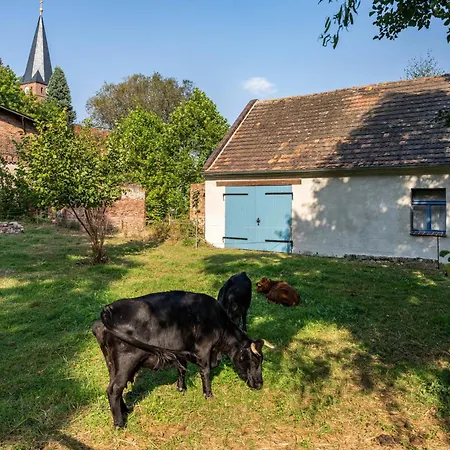 Im Landschloss Daire