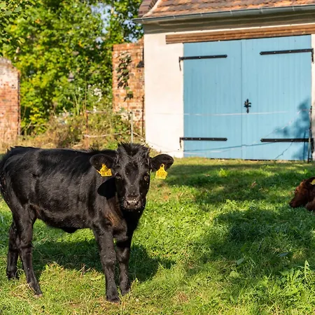 Daire Im Landschloss Calau