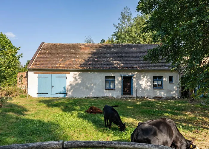 Daire Im Landschloss Calau