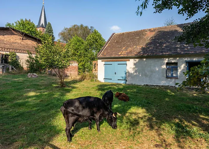 Im Landschloss Daire