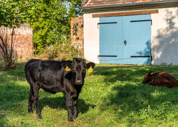 شقة Im Landschloss Calau